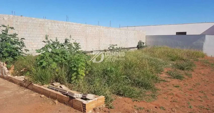 Terreno à venda, 250 m² por r$ 160.000,00 - paraíso - uberaba/mg