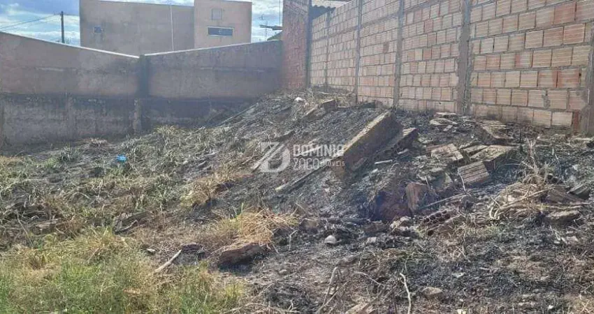 Terreno à venda na Rua Domiciano Alves Pereira, Alfredo Freire III, Uberaba