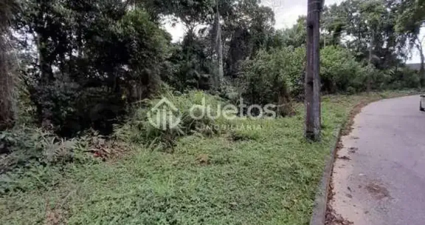 Terreno à venda, 6480 m² por R$ 1.600.000,00 - Souza Cruz - Brusque/SC