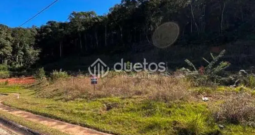 Terreno à venda, 286 m² por R$ 255.000,00 - Cedro Alto - Brusque/SC