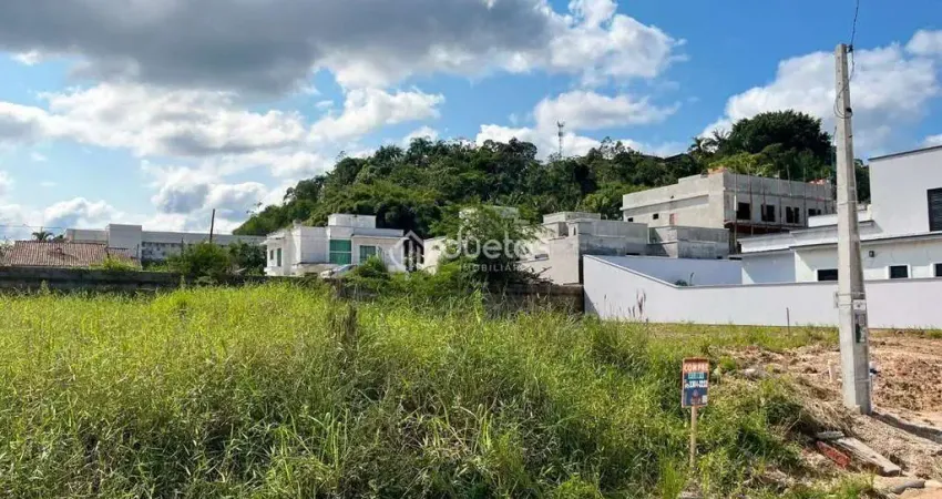 Terreno à venda, 362 m² por R$ 270.000,00 - Imigrantes - Guabiruba/SC