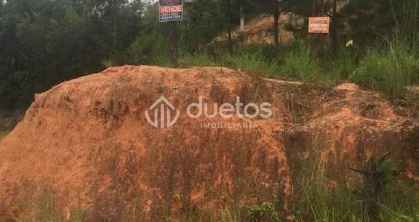 Terreno à venda, 260 m² por R$ 185.000,00 - Volta Grande - Brusque/SC