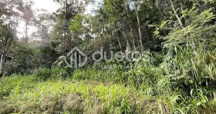 Terreno à venda, 21472 m² por R$ 198.000,00 - Aimore - Guabiruba/SC
