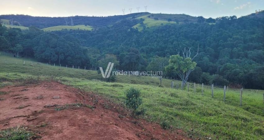 Terreno comercial à venda na Rodovia Mg 290 - Km 86 - III, s/n°, Zona Rural, Jacutinga