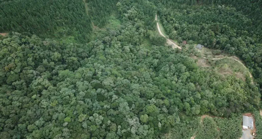 Terreno à venda no Braço Elza, Luiz Alves 