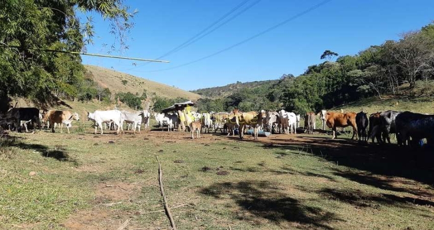 Chácara à venda 484000M², Cruz Pequena, Pindamonhangaba - SP