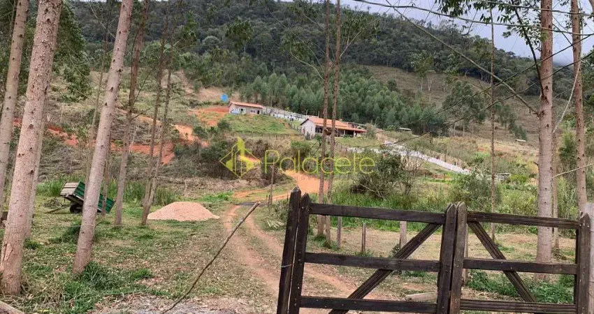Chácara / sítio à venda na Zona Rural, Lagoinha 