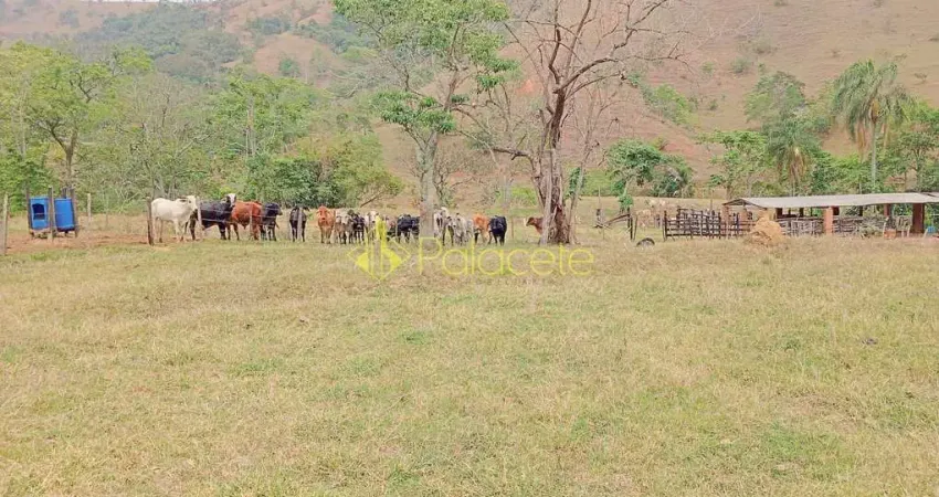Fazenda proxima a Dutra paraa venda, , Roseira Velha, SP