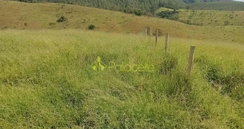 Sítio à venda com escritura e fácil acesso, POUSO FRIO, Taubaté, SP