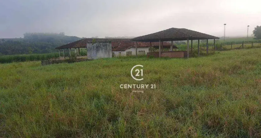 Sítio à venda, 508200 m² por R$ 4.410.000,00 - Zona Rural - Tambaú/SP