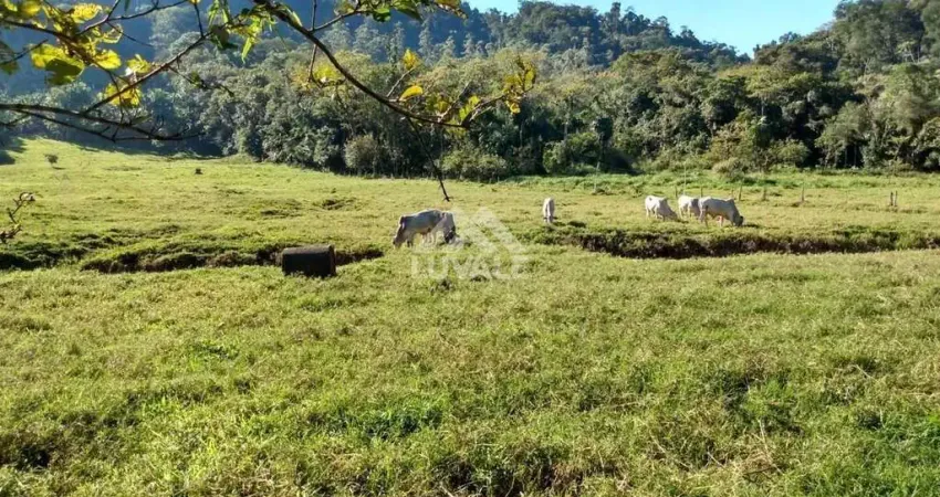 Chácara / sítio com 2 quartos à venda na Área Rural de Jaraguá do Sul, Jaraguá do Sul 