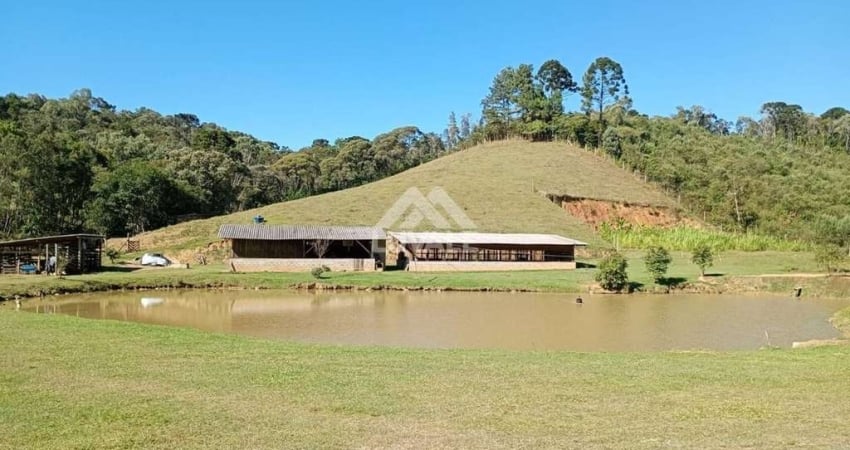 Chácara / sítio com 2 quartos à venda no Campinas, Campo Alegre 