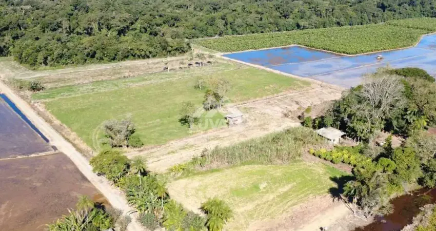 Chácara / sítio com 3 quartos à venda na Zona Rural, Araquari 