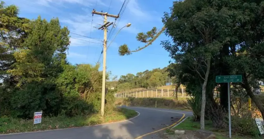 Terreno Industrial para venda  no Bairro Ana Rech em Caxias do Sul
