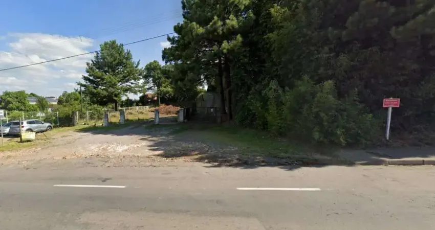 Terreno comercial à venda na Avenida Rio Branco, Ana Rech, Caxias do Sul