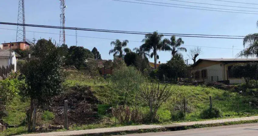 Terreno para venda  no bairro jardim eldorado em caxias do sul