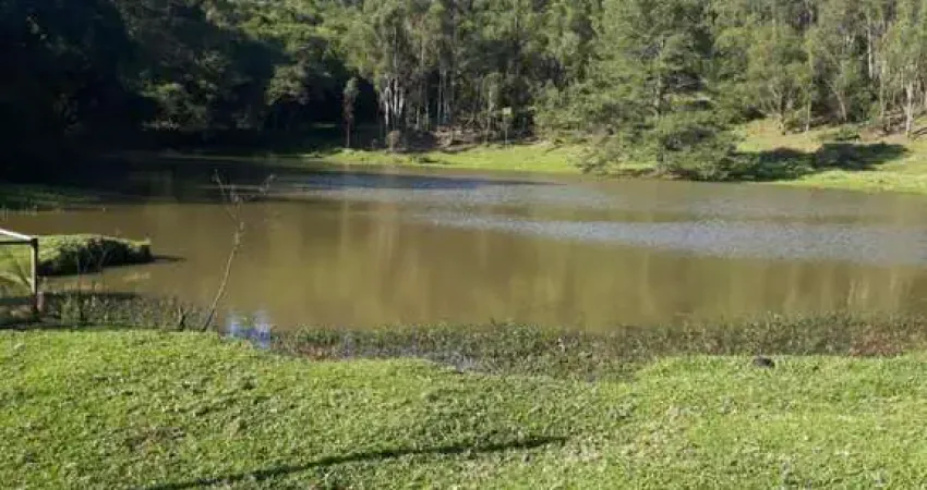 Chácara / sítio com 5 quartos à venda na Parada Cristal, Parada Cristal, Caxias do Sul