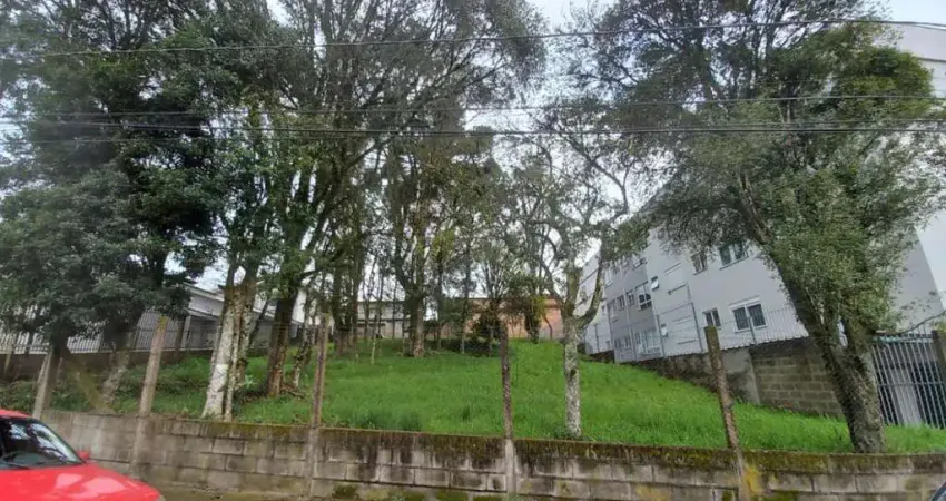 Terreno à venda na Avenida Rio Branco, Ana Rech, Caxias do Sul