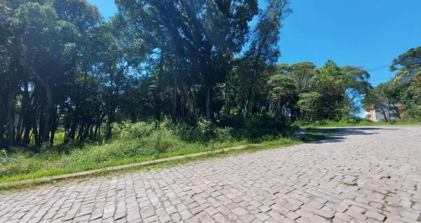 Terreno à venda na Rua Guilherme Rech, esquina, Ana Rech, Caxias do Sul