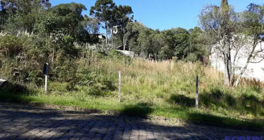 Terreno à venda na Ana Rech, Caxias do Sul 