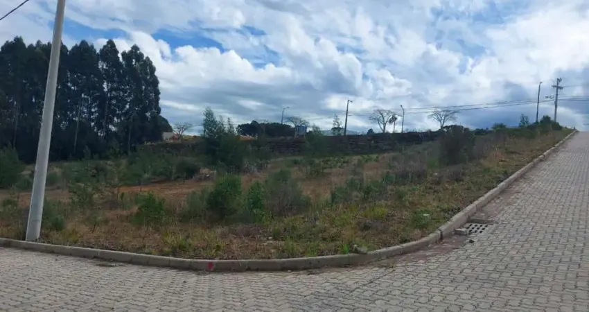 Terreno à venda na Avenida Rio Branco, 900, Rio Branco, Caxias do Sul