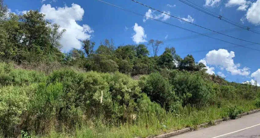 Terreno à venda no São Ciro, Caxias do Sul 