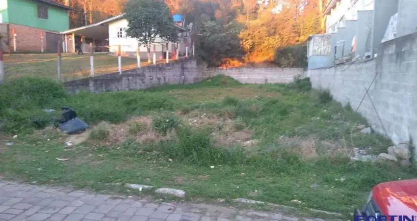 Terreno à venda na Rua João da Costa, São Caetano, Caxias do Sul