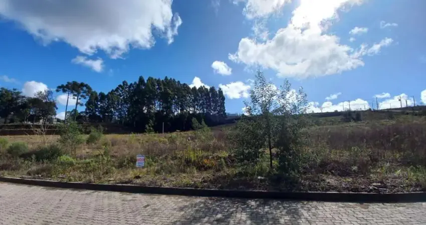 Terreno à venda na Avenida Rio Branco, Ana Rech, Caxias do Sul