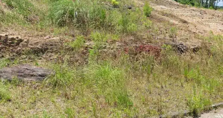 Terreno à venda na Rua Giacomo Reche, Jardim das Hortências, Caxias do Sul
