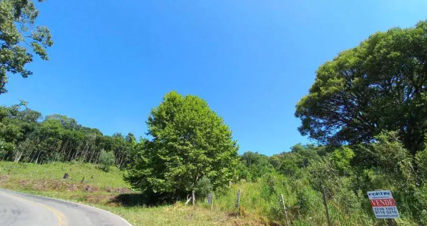 Chácara / sítio à venda na Parada Cristal, Flores da Cunha