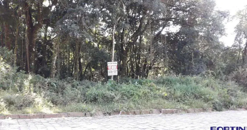 Terreno à venda na Rua Leonardo Murialdo, Ana Rech, Caxias do Sul