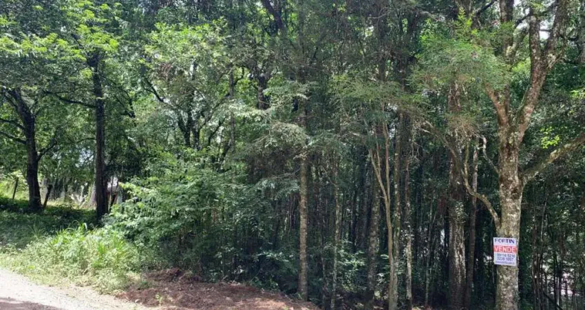 Terreno à venda na Rua Ismael José Rangel de Castilhos, Ana Rech, Caxias do Sul
