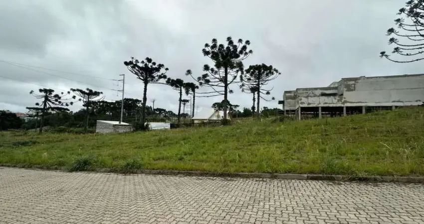 Terreno à venda na Ana Rech, Caxias do Sul 