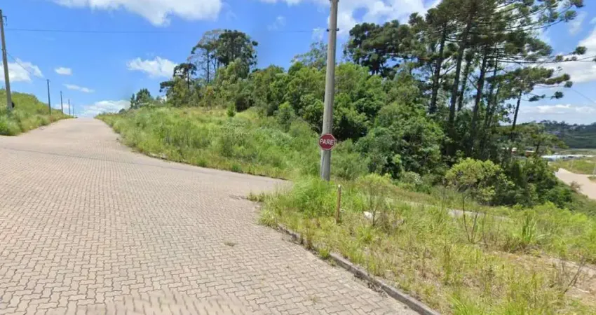 Terreno à venda na Rua Clarice Leda Toss esquina rua Inacio Azambuja Sobrinho, Jardim das Hortências, Caxias do Sul