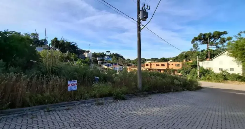 Terreno à venda na Rua Guilherme Rech, Ana Rech, Caxias do Sul