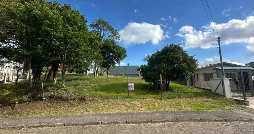 Terreno à venda na Rua Genor Perondi, Jardim Eldorado, Caxias do Sul