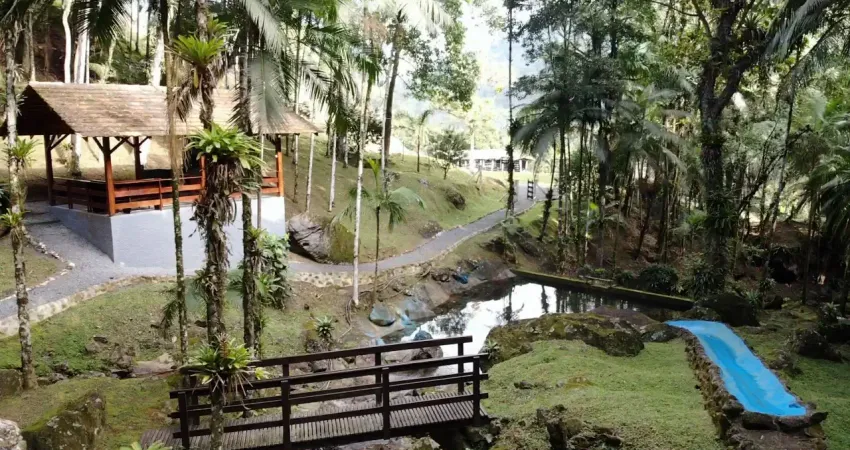Chácara / sítio com 4 quartos à venda na Rio Dos Cedros, Alto Cedros, Rio dos Cedros