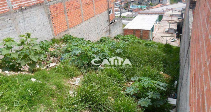 Terreno à venda, 265 m² - Jardim São Paulo - São Paulo/SP