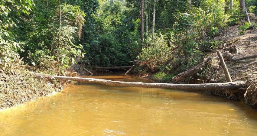 Chácara / sítio à venda na Área Rural de Candeias do Jamari, Candeias do Jamari 