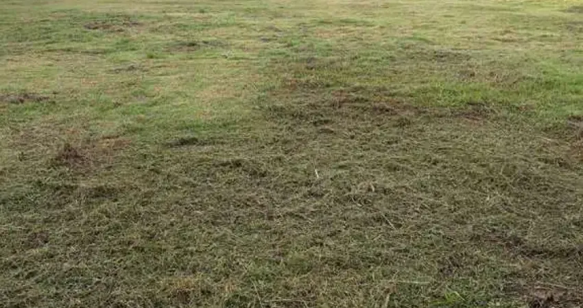 Terreno comercial à venda na Rua Açaí, Jardim Eldorado, Porto Velho