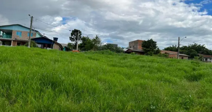 Terreno comercial à venda no Petrópolis, Novo Hamburgo 