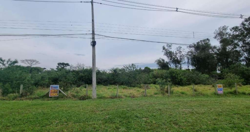 AREA Centro Nova Santa Rita