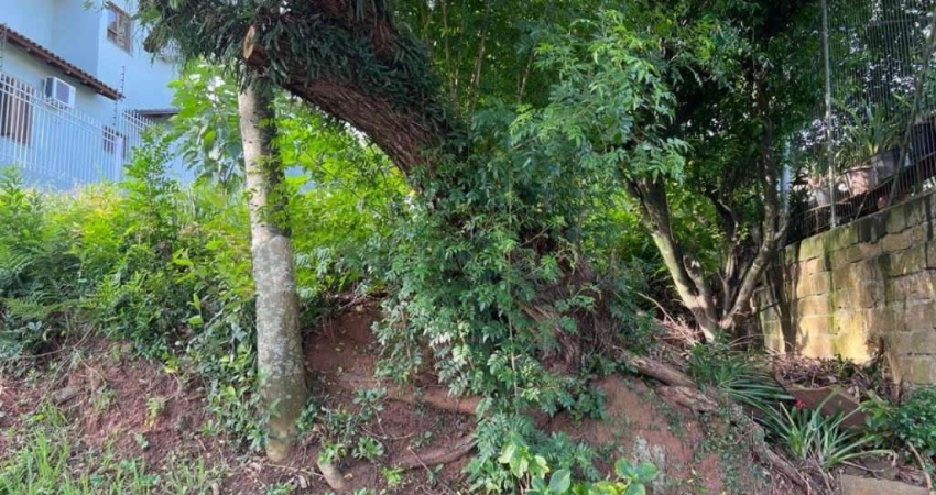Terreno comercial à venda no Rincão, Novo Hamburgo 
