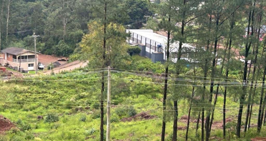 Terreno comercial à venda no Padre Eterno Seges, Santa Maria do Herval 