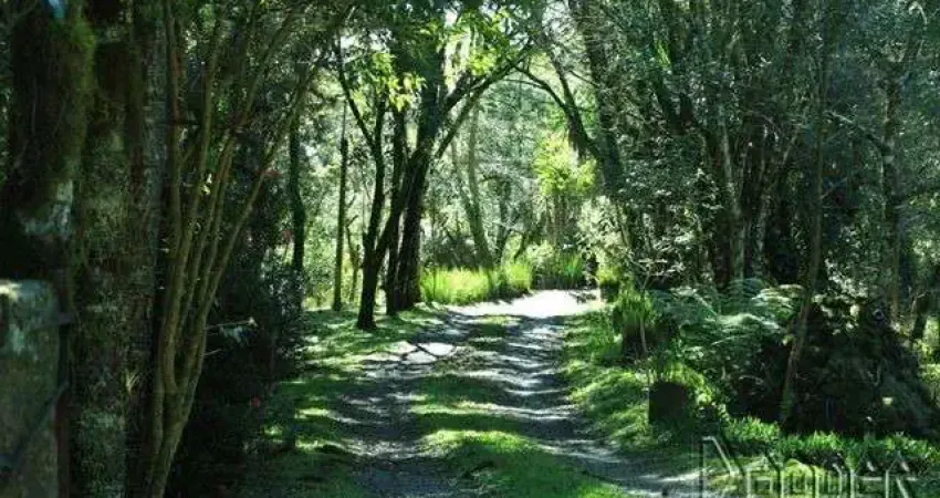 Terreno comercial à venda na Vila Suiça, Gramado 