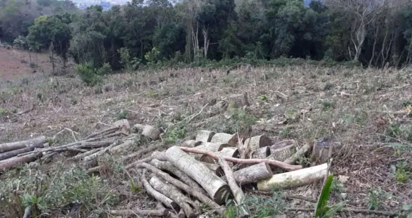 Terreno comercial à venda no Distrito Sede, Nova Hartz 