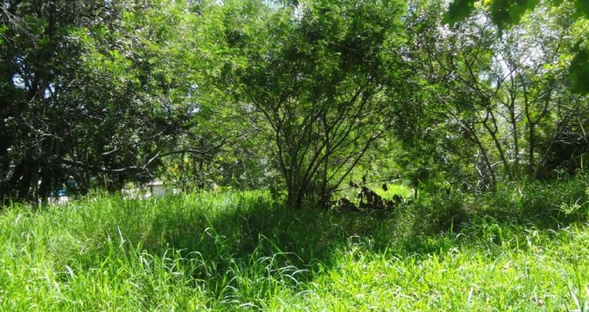 Terreno comercial à venda no Quatro Colônias, Campo Bom 