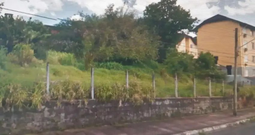 Terreno comercial à venda na Vila Nova, Novo Hamburgo 