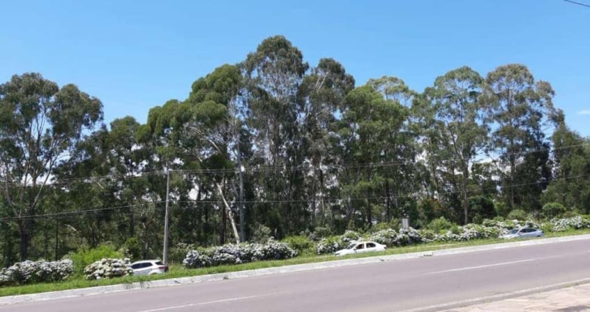 Terreno comercial à venda no Avenida Central, Gramado 