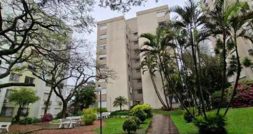 Apartamento para alugar no Pátria Nova, Novo Hamburgo